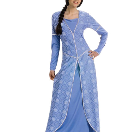 Shrek The Third Fiona Woman Costume by Rubies Costumes only at  TeeJayTraders.com