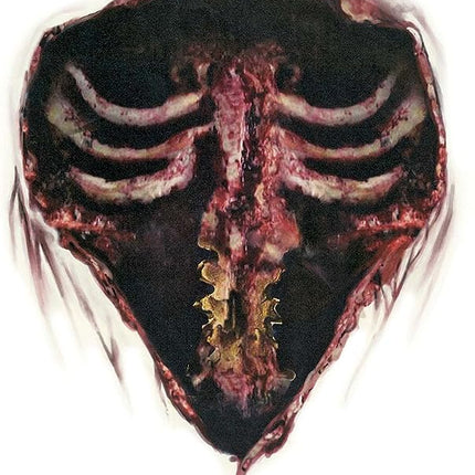 Zombie Ribs Temporary Chest Tattoo by Halloween Resource Center only at  TeeJayTraders.com