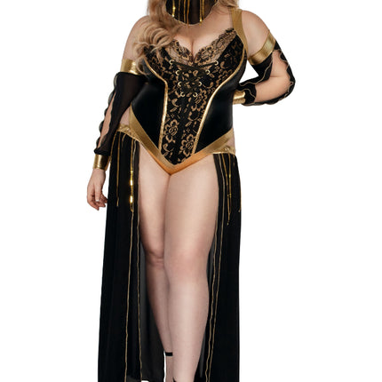 Harem Nights Plus Size Women Costume by Starline Costumes only at  TeeJayTraders.com