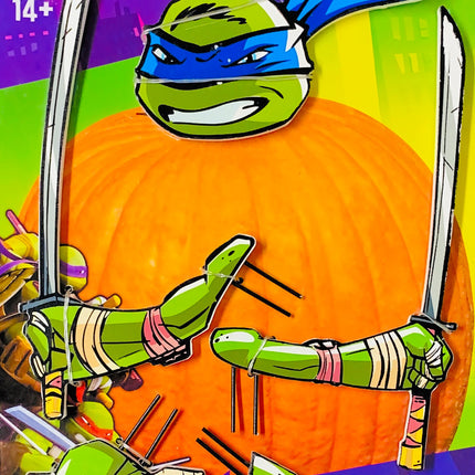 Mutant Ninja Turtles by Amscan only at  TeeJayTraders.com